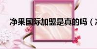 凈果國際加盟是真的嗎(凈果國際加盟)