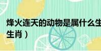 烽火連天的動物是屬什么生肖(烽火連天打一生肖)