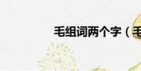 毛組詞兩個字(毛組詞)