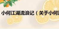 小何江湖流浪記(關于小何江湖流浪記簡介)