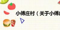 小傅莊村(關于小傅莊村簡介)