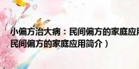 小偏方治大病:民間偏方的家庭應用(關于小偏方治大病:民間偏方的家庭應用簡介)