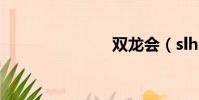 雙龍會(slh)