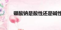 硼酸鈉是酸性還是堿性(硼酸鈉)