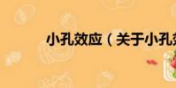 小孔效應(關于小孔效應簡介)