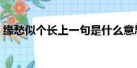 緣愁似個長上一句是什么意思(緣愁似個長)
