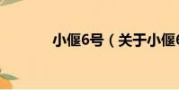 小偃6號(關于小偃6號簡介)