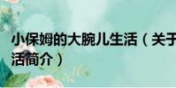 小保姆的大腕兒生活(關于小保姆的大腕兒生活簡介)