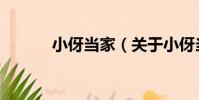 小伢當家(關于小伢當家簡介)