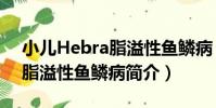 小兒Hebra脂溢性魚鱗病(關于小兒Hebra脂溢性魚鱗病簡介)