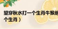 望穿秋水打一個生肖牛猴絕殺(望穿秋水打一個生肖)