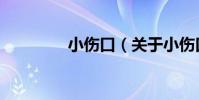 小傷口(關于小傷口簡介)