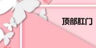 頂部肛門