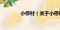 小停村(關于小停村簡介)