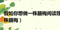 假如你想做一株臘梅閱讀理解(假如你想做一株臘梅)