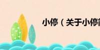 小停(關于小停簡介)