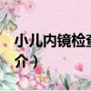 小兒內鏡檢查[術]（關于小兒內鏡檢查[術]簡介）