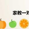 家教一對一輔導班（家教一對一）