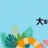 大s伴娘禮服（大s伴娘）