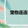 寵物連連看2.5版（寵物連連看2 7）