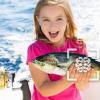 移動釣魚應用程序FishVerify訂閱人數超過150,000