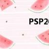 PSP2010（psp wwe2010）