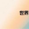 世界薰衣草（薰衣草之都）