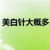 美白針大概多少錢一只（一支美白針多少錢）