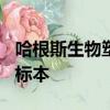 哈根斯生物塑化(大連)公司制作了多少具人體標本