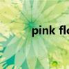 pink floyd專輯（pink floyed）