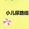 小兒尿路結石（關于小兒尿路結石簡介）