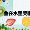 魚在水里哭歌詞是什么意思（魚在水里哭）