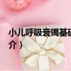 小兒呼吸衰竭基礎與臨床（關于小兒呼吸衰竭基礎與臨床簡介）