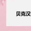 貝克漢姆貝氏弧線（貝氏弧線）