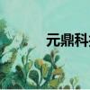 元鼎科技股份有限公司（元鼎）