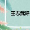 王志武評點紅樓夢怎么樣（王志武）