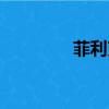 菲利克斯貓（菲力克斯貓）