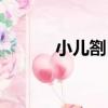 小兒劄目（關于小兒劄目簡介）