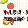 小兒尿頻?脾腎氣虛證（關于小兒尿頻?脾腎氣虛證簡介）