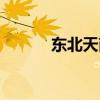 東北天南星株高（東北天南星）