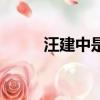 汪建中是那一年判刑（汪建中案）