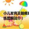 小兒發育及腦癱康復訓練圖解（關于小兒發育及腦癱康復訓練圖解簡介）