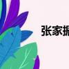 張家振書法家價錢（張家振）