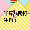半斤八兩打一生肖是什么動物（半斤八兩打一生肖）