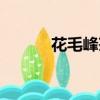 花毛峰茶多少錢一斤（花毛峰）