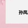 孫鳳英我愛我家（孫鳳英）