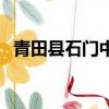 青田縣石門中學是初中（青田縣石門中學）