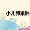 小兒卵巢腫瘤（關于小兒卵巢腫瘤簡介）