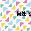 何處飛花 晉江（何處飛花txt）