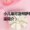 小兒埃可及柯薩奇病毒感染（關于小兒埃可及柯薩奇病毒感染簡介）